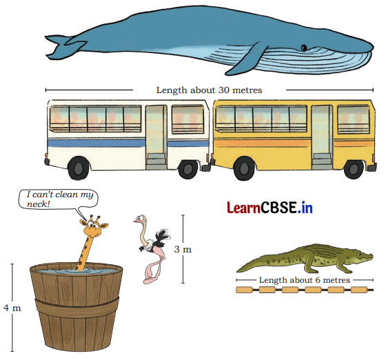 Measuring Length Class 4 Solutions Question Answer Maths Chapter 6 2