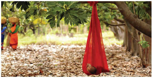 NCERT Class 6 Social Science Chapter 8 Questions and Answers Unity in Diversity, or 'Many in the One' 1