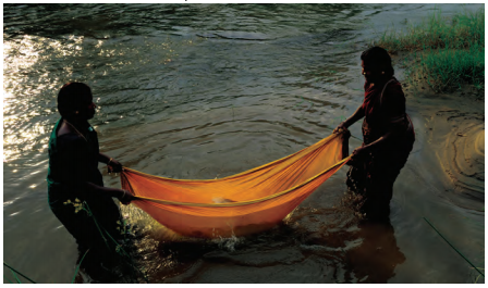 NCERT Class 6 Social Science Chapter 8 Questions and Answers Unity in Diversity, or 'Many in the One' 2