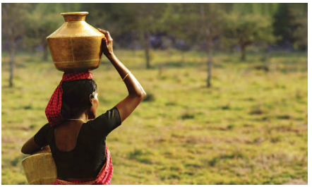 NCERT Class 6 Social Science Chapter 8 Questions and Answers Unity in Diversity, or 'Many in the One' 3