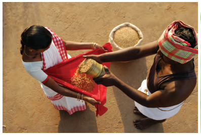 NCERT Class 6 Social Science Chapter 8 Questions and Answers Unity in Diversity, or 'Many in the One' 4