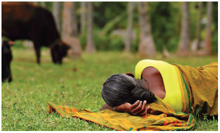 NCERT Class 6 Social Science Chapter 8 Questions and Answers Unity in Diversity, or 'Many in the One' 6