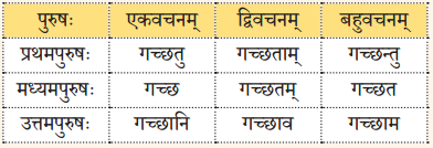 NCERT Class 8 Sanskrit Chapter 1 Question Answer Solutions संगच्छध्वं संवदध्वम् 2
