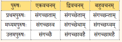 NCERT Class 8 Sanskrit Chapter 1 Question Answer Solutions संगच्छध्वं संवदध्वम् 3