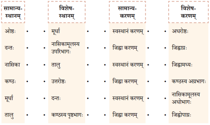 NCERT Class 8 Sanskrit Chapter 13 Question Answer Solutions वर्णोच्चारण-शिक्षा १ 2