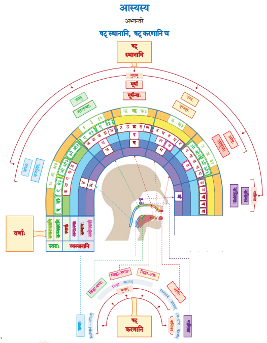 NCERT Class 8 Sanskrit Chapter 13 Question Answer Solutions वर्णोच्चारण-शिक्षा १ 4