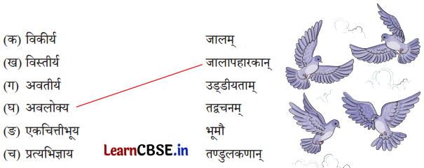 NCERT Class 8 Sanskrit Chapter 2 Question Answer Solutions अल्पानामपि वस्तूनां संहतिः कार्यसाधिका 1