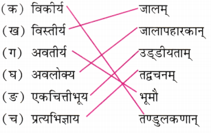 NCERT Class 8 Sanskrit Chapter 2 Question Answer Solutions अल्पानामपि वस्तूनां संहतिः कार्यसाधिका 2