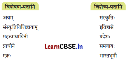 NCERT Class 8 Sanskrit Chapter 8 Question Answer Solutions पश्यत कोणमैशान्यं भारतस्य मनोहरम् 2