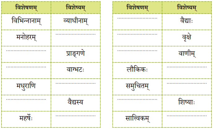 NCERT Class 8 Sanskrit Chapter 9 Question Answer Solutions कोऽरुक् कोऽरुक् कोऽरुक् 2