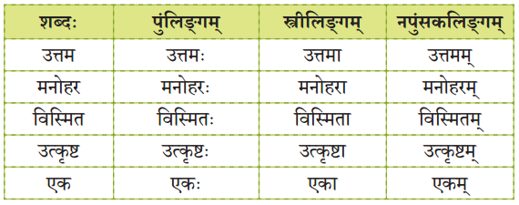 NCERT Class 8 Sanskrit Chapter 9 Question Answer Solutions कोऽरुक् कोऽरुक् कोऽरुक् 3