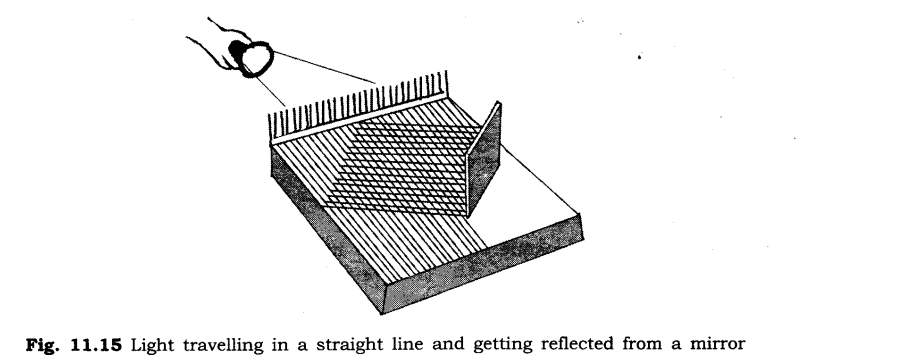 NCERT Solutions for Class 6 Science Chapter 11 Light Shadows and Reflection LAQ Q2