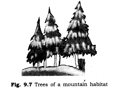 NCERT Solutions for Class 6 Science Chapter 9 The Living Organisms and Their Surroundings SAQ Q9