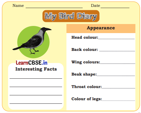 Nature Trail Class 4 Question Answer EVS Chapter 3 10
