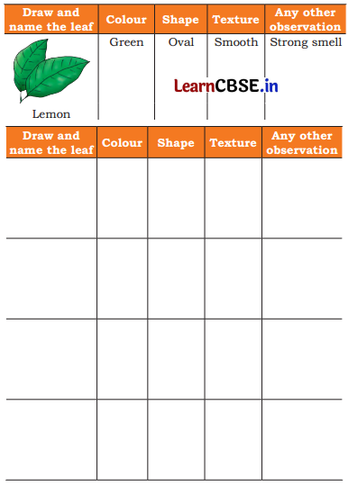 Nature Trail Class 4 Question Answer EVS Chapter 3 15