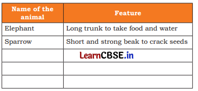 Nature Trail Class 4 Question Answer EVS Chapter 3 2