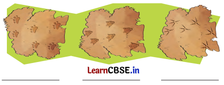 Nature Trail Class 4 Question Answer EVS Chapter 3 4