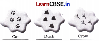 Nature Trail Class 4 Question Answer EVS Chapter 3 5
