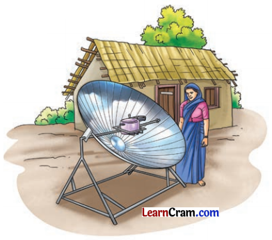 Nature’s Treasures Class 6 Question Answer Science Chapter 11 2