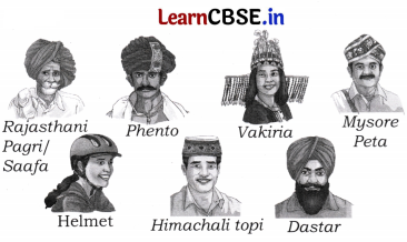 Our Vibrant Country Class 5 Question Answer EVS Chapter 5 8