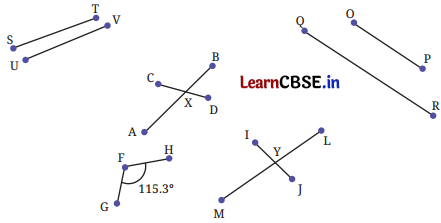 Parallel and Intersecting Lines Class 7 Solutions Ganita Prakash Maths Chapter 5 Page 109 Q1
