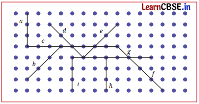Parallel and Intersecting Lines Class 7 Solutions Ganita Prakash Maths Chapter 5 Page 110 Q1