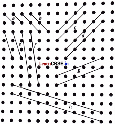 Parallel and Intersecting Lines Class 7 Solutions Ganita Prakash Maths Chapter 5 Page 113 Q4.1