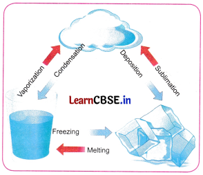 Particulate Nature of Matter Class 8 Questions and Answers Science Chapter 7 Q6