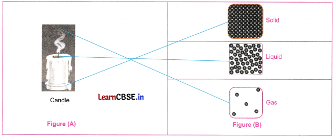 Particulate Nature of Matter Class 8 Questions and Answers Science Chapter 7 Q8.1
