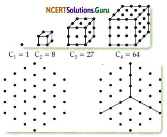 Patterns in Mathematics Class 6 Solutions Question Answer 19