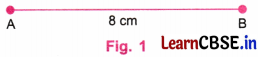 Playing with Constructions Class 6 NCERT Solutions Ganita Prakash Maths Chapter 8 12