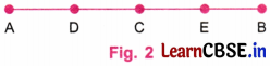 Playing with Constructions Class 6 NCERT Solutions Ganita Prakash Maths Chapter 8 13