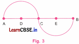 Playing with Constructions Class 6 NCERT Solutions Ganita Prakash Maths Chapter 8 14