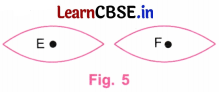 Playing with Constructions Class 6 NCERT Solutions Ganita Prakash Maths Chapter 8 21