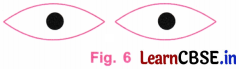 Playing with Constructions Class 6 NCERT Solutions Ganita Prakash Maths Chapter 8 22