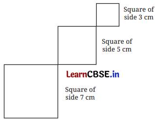 Playing with Constructions Class 6 NCERT Solutions Ganita Prakash Maths Chapter 8 74
