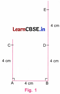 Playing with Constructions Class 6 NCERT Solutions Ganita Prakash Maths Chapter 8 75