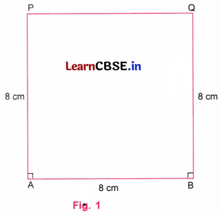 Playing with Constructions Class 6 NCERT Solutions Ganita Prakash Maths Chapter 8 79