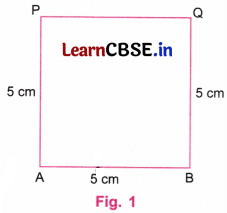 Playing with Constructions Class 6 NCERT Solutions Ganita Prakash Maths Chapter 8 84