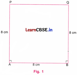 Playing with Constructions Class 6 NCERT Solutions Ganita Prakash Maths Chapter 8 88
