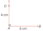 Playing with Constructions Class 6 Solutions Question Answer 5