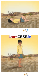 Pressure, Winds, Storms, and Cyclones Class 8 Questions and Answers Science Chapter 6 Q3