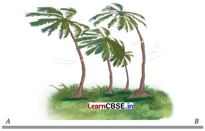 Pressure, Winds, Storms, and Cyclones Class 8 Questions and Answers Science Chapter 6 Q9