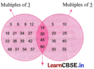 Prime Time Class 6 NCERT Solutions Ganita Prakash Maths Chapter 5 2