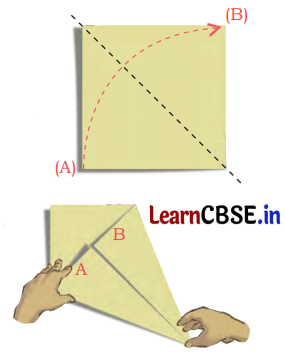 Shapes and Patterns Class 5 Solutions Question Answer Maths Chapter 7 17