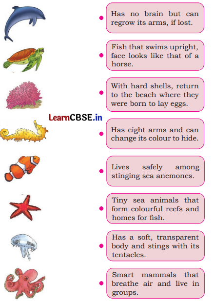 Some Unique Places Class 5 Question Answer EVS Chapter 6 4