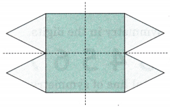 Symmetrical Designs Class 5 Solutions Question Answer Maths Chapter 10 22