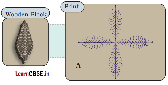 Symmetrical Designs Class 5 Solutions Question Answer Maths Chapter 10 25