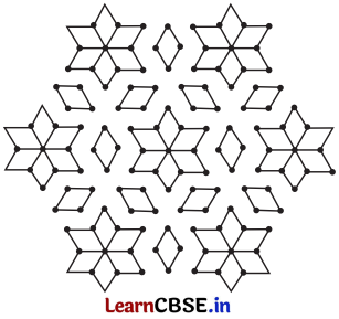 Symmetry Class 6 NCERT Solutions Ganita Prakash Maths Chapter 9 32