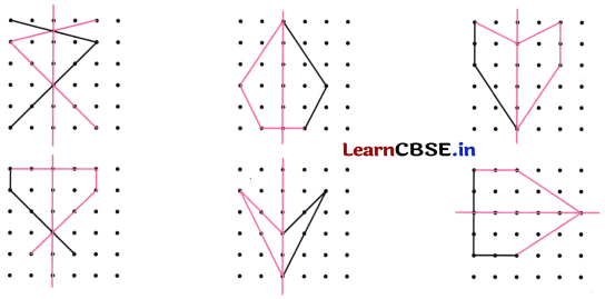 Symmetry Class 6 NCERT Solutions Ganita Prakash Maths Chapter 9 41